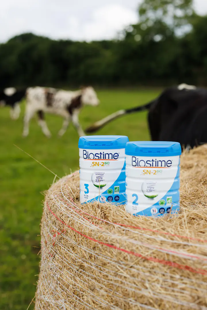 Deux boîtes de lait Biostime sur une botte de paille, des vaches au pré derrière