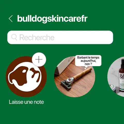 Publication Bulldog, 1 sur 22