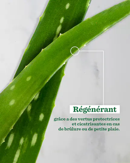 Publication Bulldog, 14 sur 22